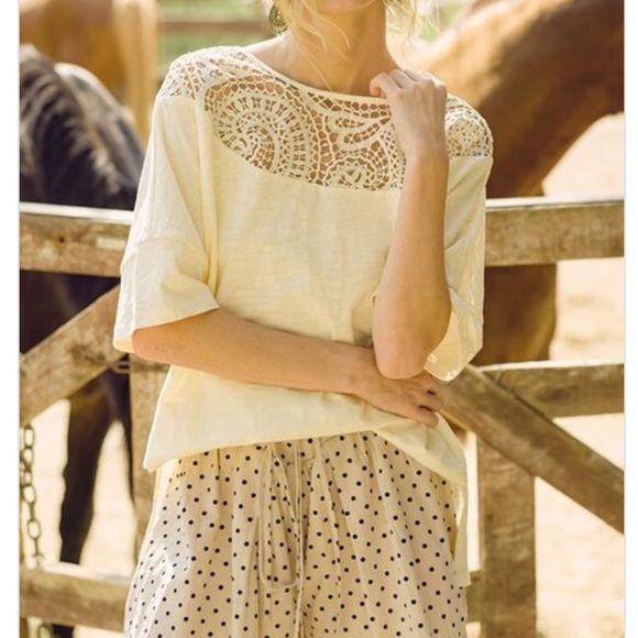 NEW Gorgeous Lace Yoke Embroidered Crochet Top - Picture 7 of 11